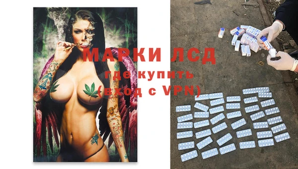 apvp Мегион