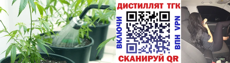 Дистиллят ТГК концентрат  Нелидово 